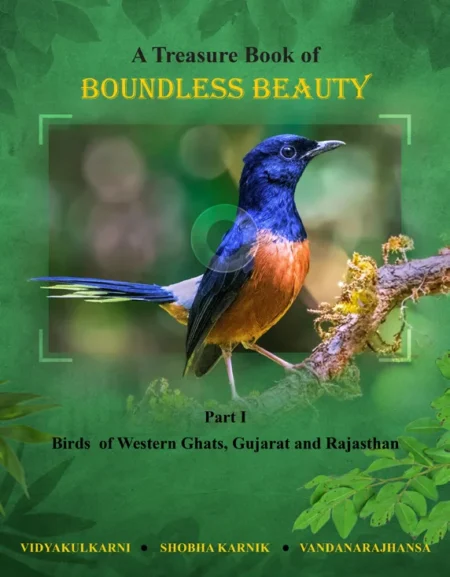 Treasure of Boundless Beauty - Part 1