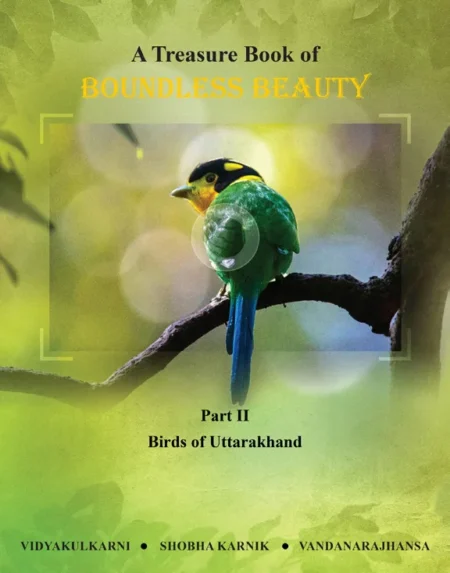 A Treasure Book of Boundless Beauty - Part 2