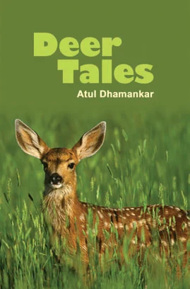 Deer Tales