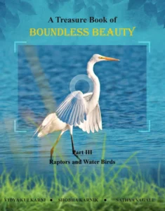 A Treasure Book of Boundless Beauty - Part 3